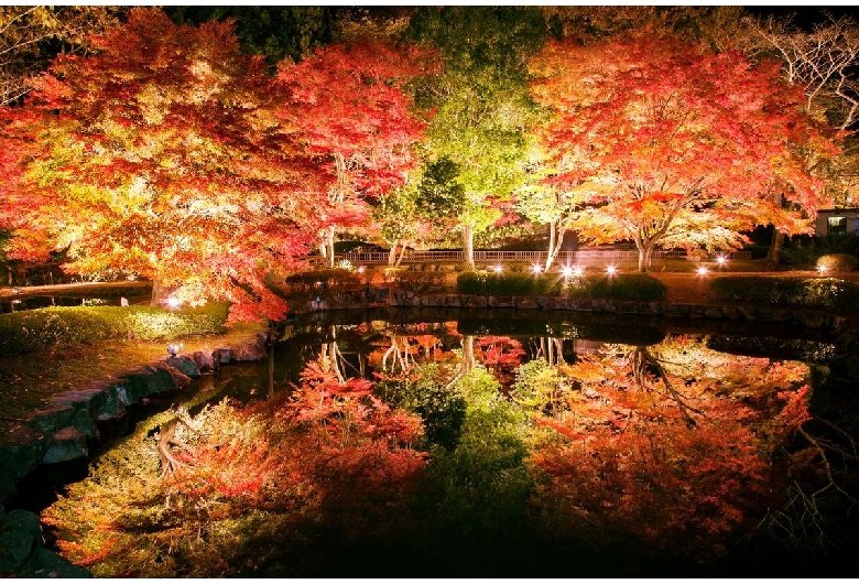 🍁 소기 공원(소기 코엔) 이미지 1